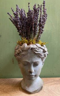 Cement Goddess Planter with Dried Lavender Arrangement