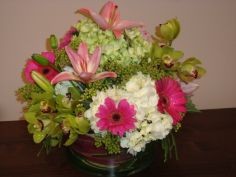 PINKS & GREENS Mixed Arrangement