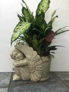 Ceramic Cherub Planter Mixed Garden in Mantua, NJ | Lavender & Lace Florist & Gift Shop Ceramic Cherub Planter Mixed Garden in Mantua, NJ | Lavender & Lace Florist & Gift Shop