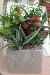 Ceramic Cube garden of plants