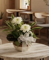 Ceramic Dish Garden Dish Garden Planter