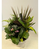 SOLD Ceramic Dish Garden   NFS-DGC73       C3