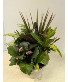 SOLD Ceramic Dish Garden   NFS-DGC73       C3