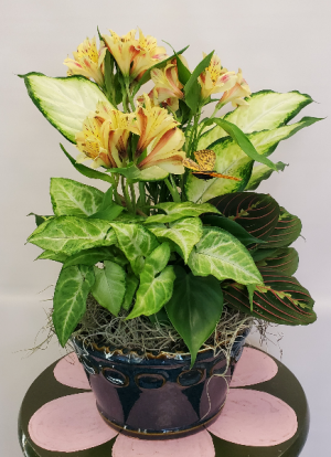 Dish Garden with Alstromeria and Butterfly  Planter