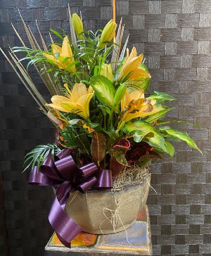 Ceramic Dishgarden with Lilies 
