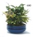 Purchase this funeral home arrangement