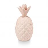 Ceramic Pineapple Candle Coconut Milk Mango
