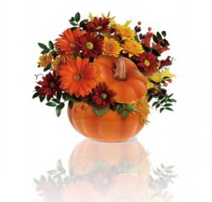 Ceramic Pumpkin with fall flowers in Lebanon, NH | LEBANON GARDEN OF EDEN FLORAL SHOP Ceramic Pumpkin with fall flowers in Lebanon, NH | LEBANON GARDEN OF EDEN FLORAL SHOP