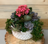 Ceramic Succulent Planter 