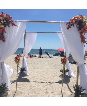 Ceremony Arch  