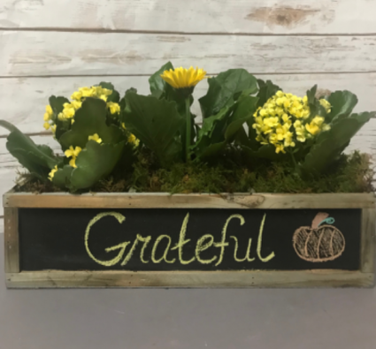 Chalk Full of Fun Arrangement