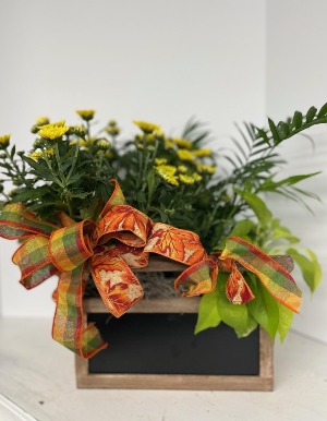 CHALKBOARD BOX WITH HANDLE FALL STYLE PLANTER 