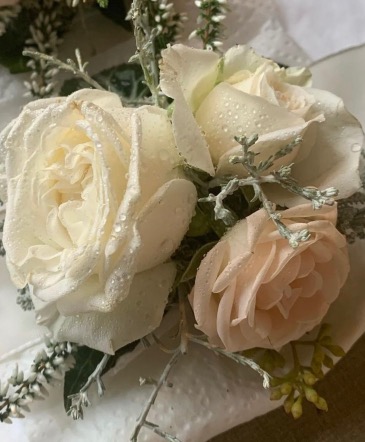 Champagne Bubbles  in Etobicoke, ON | THE POTTY PLANTER FLORIST