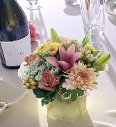 Champagne Kiss Champagne Collection 