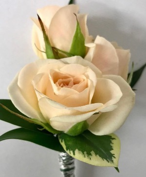 Champagne Roses 