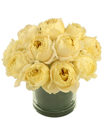 Champagne Roses Garden Roses Bouquet in Dallas, TX | Paula's Everyday Petals & More