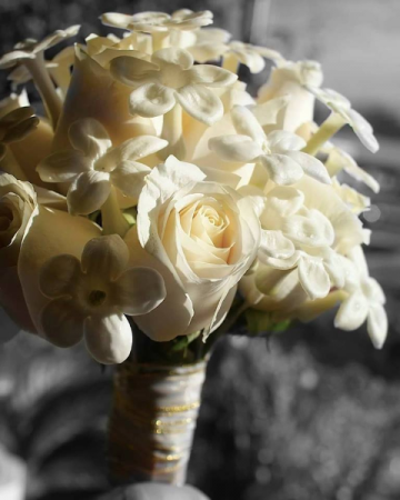 Champagne Roses & Stephanotis Bridal Bouquet