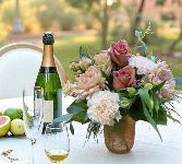 Champagne Toast Champagne Collection