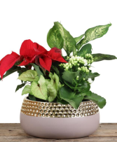  Charlotte Ceramic Planter  