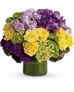 CHARM Splendor