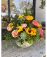Charmer Floral arrangement in a cement pot
