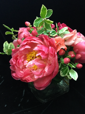 Charming Coral in New Canaan, CT | BON FLEUR Charming Coral in New Canaan, CT | BON FLEUR