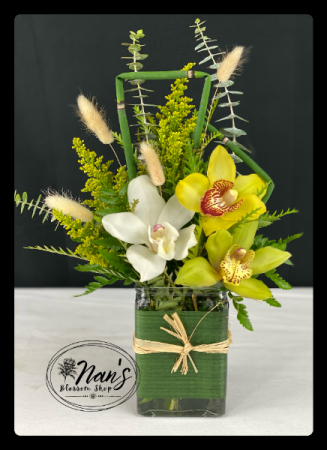 Charming Cymbidium