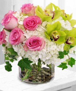 CHARMING Cymbidium Orchids, Roses & Hydrangeas