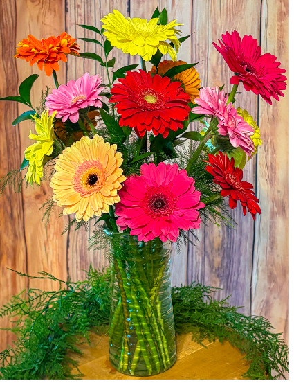 Charming Daisies  Arrangement