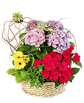 Charming Garden Basket Flowering Plants