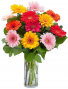 Charming Greberas Arrangements