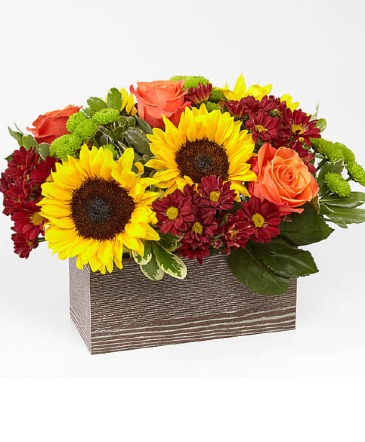 Charming Harvest Garden Box Table Top - Centerpiece in Gahanna, OH | EXPRESSIONS FLORAL DESIGN STUDIO Charming Harvest Garden Box Table Top - Centerpiece in Gahanna, OH | EXPRESSIONS FLORAL DESIGN STUDIO