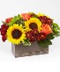 Charming Harvest Garden Box Table Top - Centerpiece