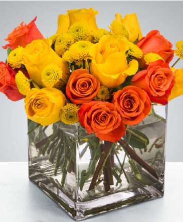 Cheer Up Buttercup Floral Arrangement in Dover, FL | Southern Roze