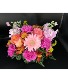 Cheerful Bliss Cube arrangement 