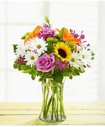 Cheerful Blooms - 00073 