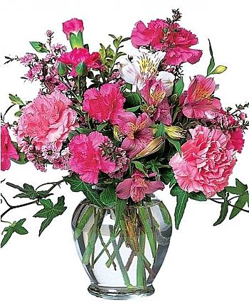 Cheerful Carnations Vase Arrangement