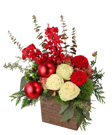 Cheerful Comfort Christmas Arrangement in Yankton, SD | Pied Piper Flowers & Gifts