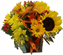 Cheerful Fall Cube Cut Flowers in Oasis