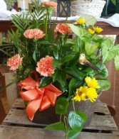 Cheerful Planter Planter