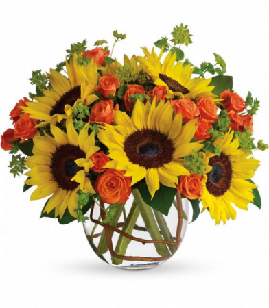 CHEERFUL SUNFLOWER