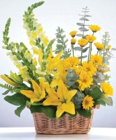 Cheerful Yellow Basket Arrangement