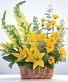 Cheerful Yellow Basket Arrangement