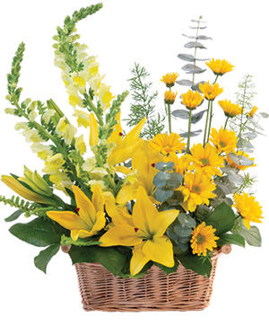 Cheerful Yellow Basket Arrangement