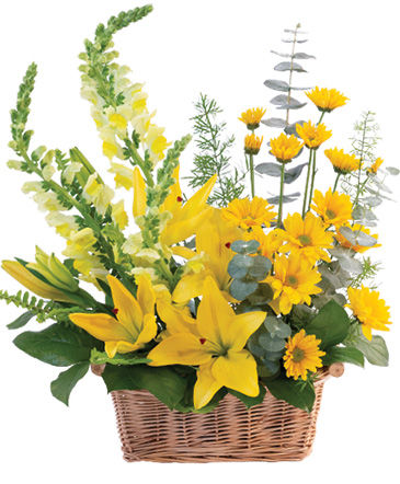 Cheerful Yellow Basket Arrangement in Beaumont, AB | Beau Villa Flowers And Gifts