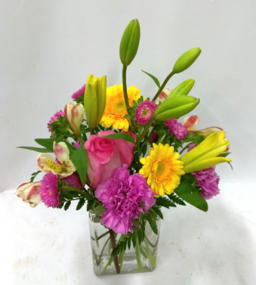 Cheerfulness Summer