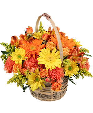 Cheergiver Basket in West Columbia, SC - SIGHTLER'S FLORIST