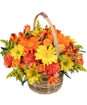 Cheergiver Basket in Monticello, IN | The Enchanted Garden Flowers & Gifts