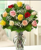 Mix Colors Roses 12,18 or 24