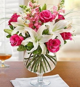  Cheers ! Also Available in Red and White in Sunrise, FL | FLORIST24HRS.COM
